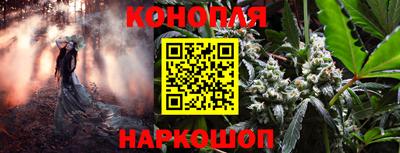 шишки Когалым