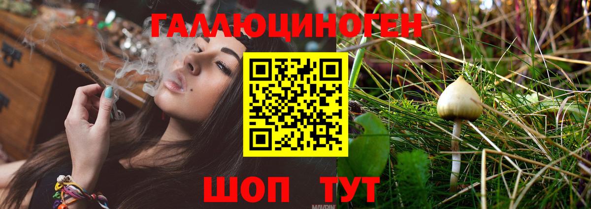 Родники  где найти   Вход с VPN  Псилоцибиновые грибы прущие грибы 