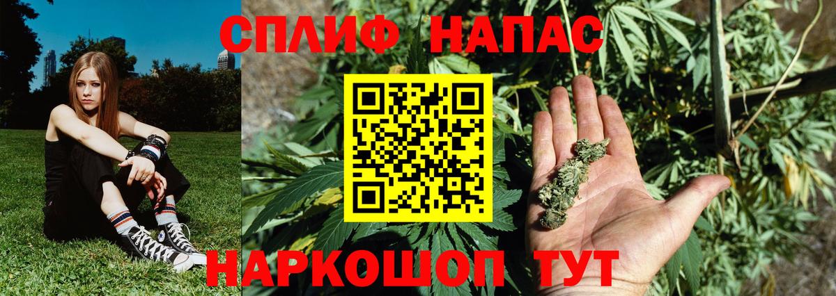 Бошки марихуана планчик  Вход с VPN  Конопля планчик  Родники  Канабис план 